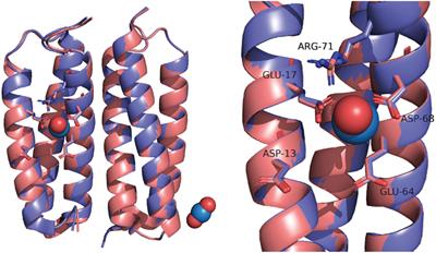 Probing Metal Ion Discrimination in a Protein Designed to Bind Uranyl Cation With Femtomolar Affinity